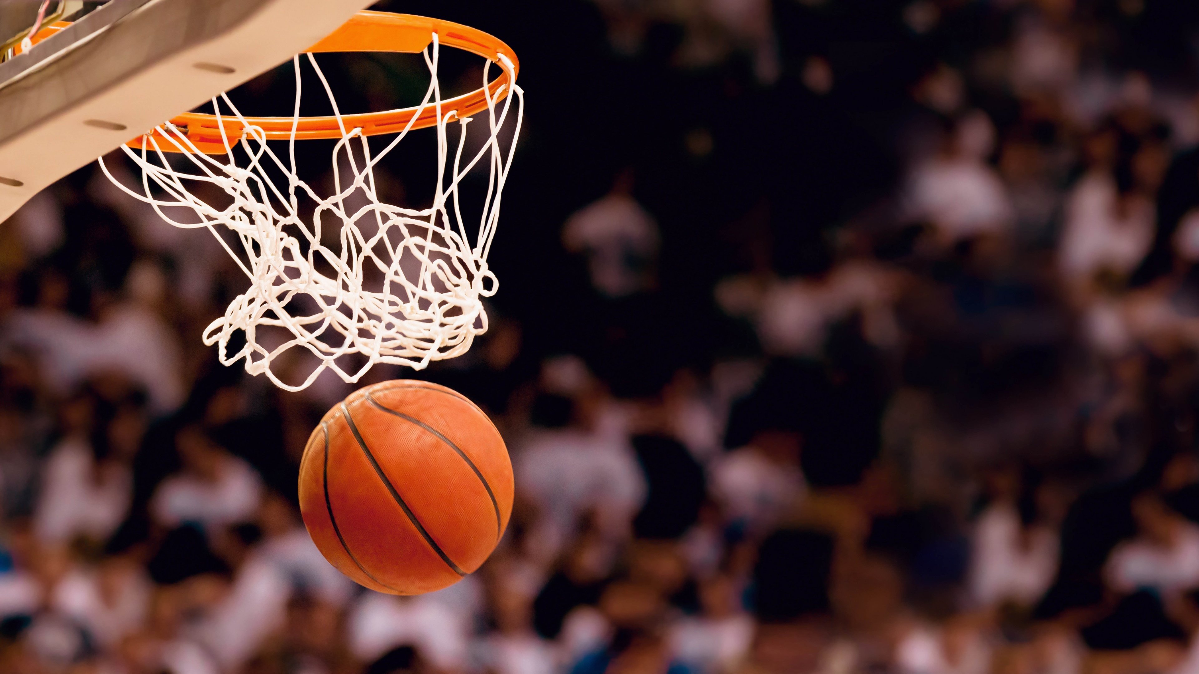 德甲热火空降NBA东部，联盟格局要变天？|多宝鱼和比目鱼的区别